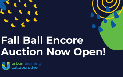Final Chance to Bid: Fall Ball Encore Auction Now Open!
